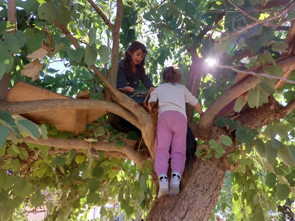 ילדות מטפסות על עץ